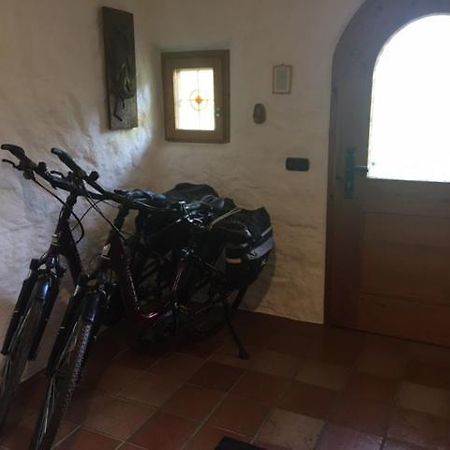 Ferienwohnung Untersbergblick Bad Reichenhall Eksteriør billede